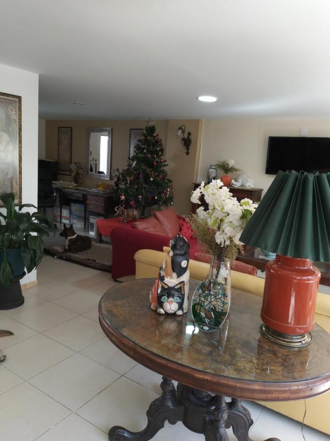 Charming Sunny Bedroom Overlooking Beautiful Amsterdam Avenue In Best Condesa Area Mexico By Eksteriør billede