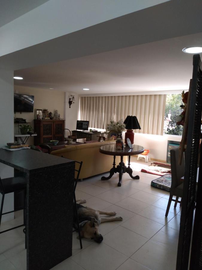 Charming Sunny Bedroom Overlooking Beautiful Amsterdam Avenue In Best Condesa Area Mexico By Eksteriør billede
