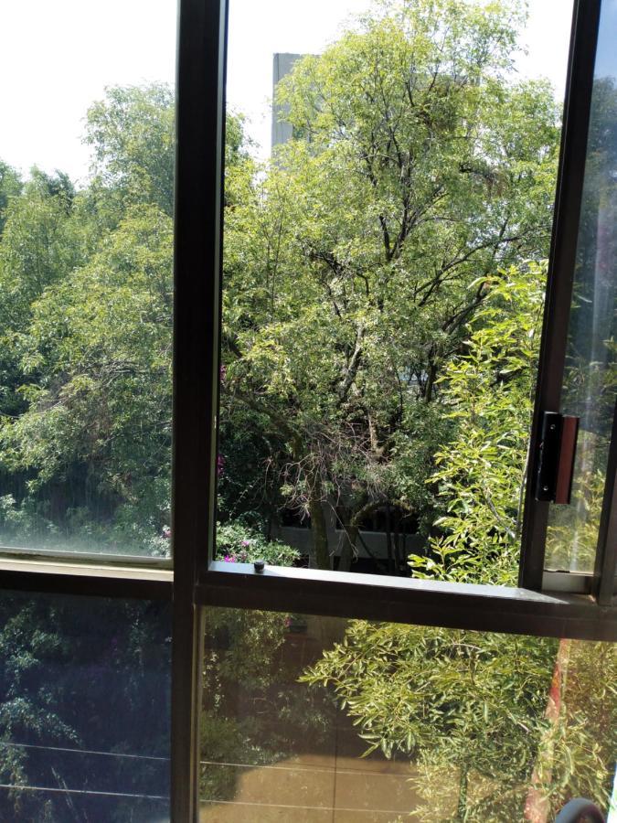 Charming Sunny Bedroom Overlooking Beautiful Amsterdam Avenue In Best Condesa Area Mexico By Eksteriør billede