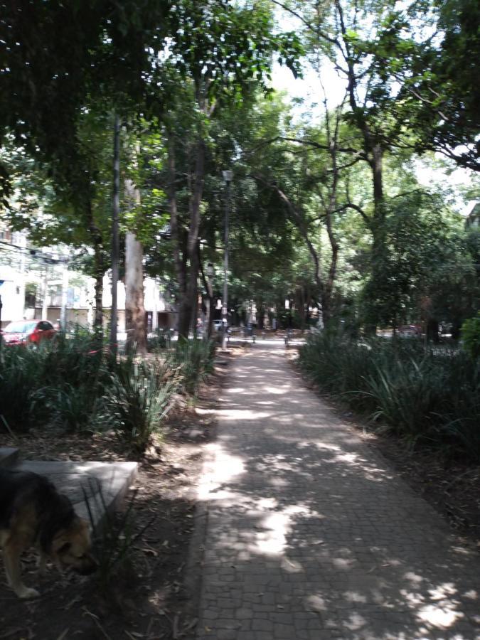Charming Sunny Bedroom Overlooking Beautiful Amsterdam Avenue In Best Condesa Area Mexico By Eksteriør billede
