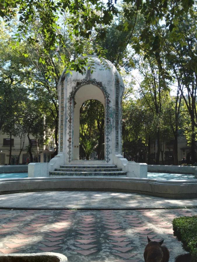 Charming Sunny Bedroom Overlooking Beautiful Amsterdam Avenue In Best Condesa Area Mexico By Eksteriør billede