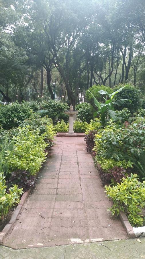 Charming Sunny Bedroom Overlooking Beautiful Amsterdam Avenue In Best Condesa Area Mexico By Eksteriør billede